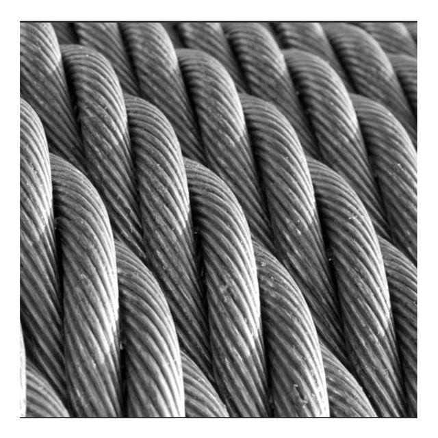  Factory Best Quality 1mm-16mm Galvanized Steel Wire Rope