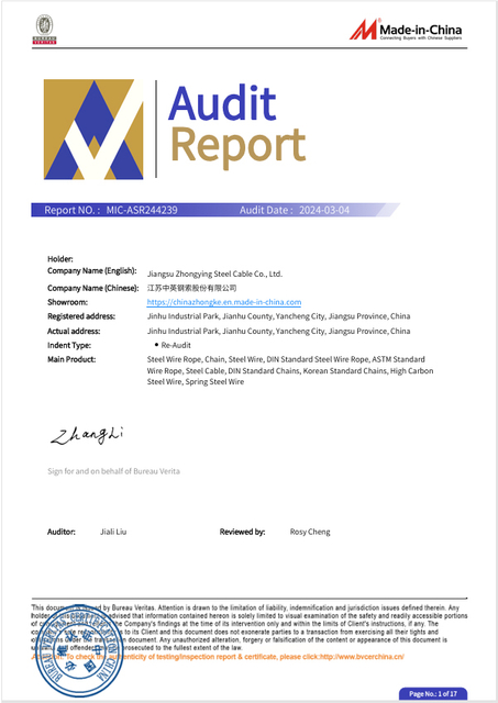  Audit Report 