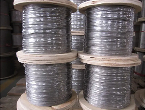 EIPS Steel Cable 8*19S+FC 16mm Elevator Steel Wire Rope Galvanized Manufacturer