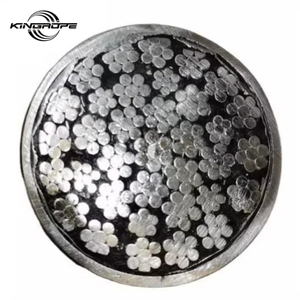 Ungalvanized Steel Wire Rope Eips 35wx7 Dia 17mm Non-Rotating 